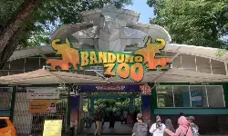 Pemkot layangkan surat peringatan ke pengelola Bandung Zoo