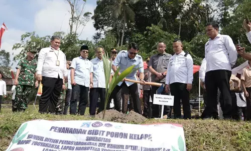 Sleman tanam bibit kelapa, dukung program ketahanan pangan Sleman tanam bibit kelapa, dukung program ketahanan pangan