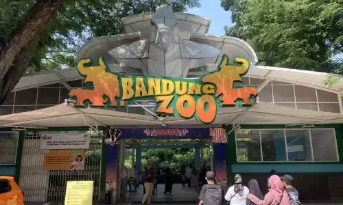 Pemkot layangkan surat peringatan ke pengelola Bandung Zoo