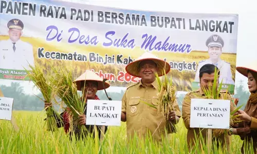 Hadiri syukuran panen raya di Suka Makmur, Bupati: Langkat adalah lumbung pangan