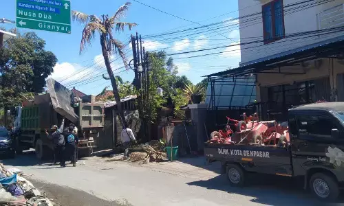 Pemkot Denpasar Bali bersihkan sisa material dampak banjir Pemkot Denpasar Bali bersihkan sisa material dampak banjir