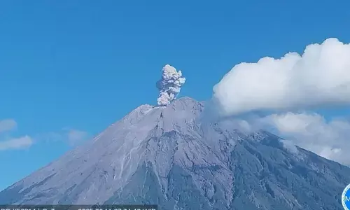 Semeru empat kali erupsi dengan tinggi letusan hingga 800 meter Semeru empat kali erupsi dengan tinggi letusan hingga 800 meter