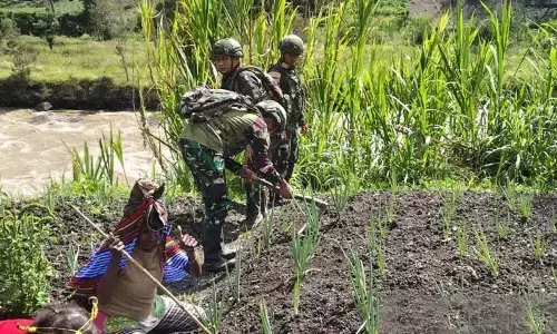 Satgas Yonif 521/DY bagi bibit hortikultura pada warga Yahukimo Satgas Yonif 521/DY bagi bibit hortikultura pada warga Yahukimo