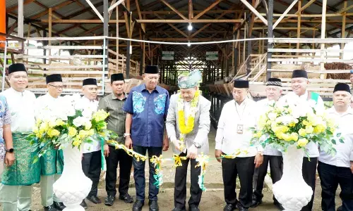 Bupati Langkat targetkan balai ternak Baznas bangkitkan ekonomi masyarakat Bupati Langkat targetkan balai ternak Baznas bangkitkan ekonomi masyarakat