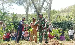 Jelang HUT TNI Ke-80, Koramil 1715-02/Kiwirok dan warga tanam kopi di Yahukimo Jelang HUT TNI Ke-80, Koramil 1715-02/Kiwirok dan warga tanam kopi di Yahukimo