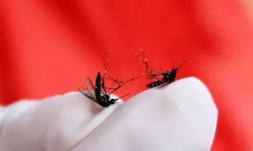 Orang tua wajib waspada, DBD pada anak bisa berkembang cepat Orang tua wajib waspada, DBD pada anak bisa berkembang cepat