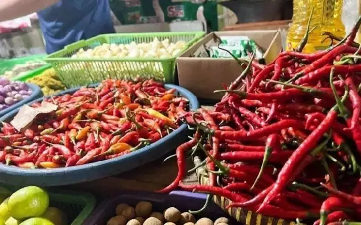 Harga beras premium turun jadi Rp15.782/kg, cabai rawit Rp41.868/kg Harga beras premium turun jadi Rp15.782/kg, cabai rawit Rp41.868/kg