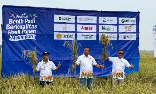PT Sang Hyang Seri Tegaskan Benih Bersertifikat Tingkatkan Panen PT Sang Hyang Seri Tegaskan Benih Bersertifikat Tingkatkan Panen