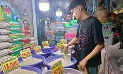 Harga beras premium turun jadi Rp15.656/kg, cabai rawit Rp42.344/kg Harga beras premium turun jadi Rp15.656/kg, cabai rawit Rp42.344/kg