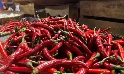 Harga beras premium turun ke Rp15.916/kg, cabai rawit Rp46.677