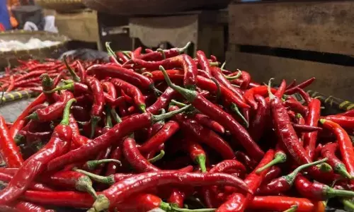 Harga beras premium turun ke Rp15.916/kg, cabai rawit Rp46.677 Harga beras premium turun ke Rp15.916/kg, cabai rawit Rp46.677