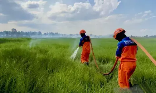 BPBD Kalsel pertimbangkan cabut status darurat karhutla BPBD Kalsel pertimbangkan cabut status darurat karhutla