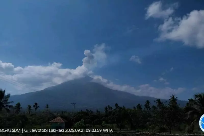Minggu pagi, Gunung Lewotobi Laki-laki tercatat tiga kali erupsi Minggu pagi, Gunung Lewotobi Laki-laki tercatat tiga kali erupsi