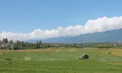 Pemkab Sigi pastikan tambah luasan cetak sawah baru pada 2026