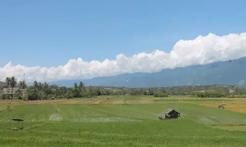 Pemkab Sigi pastikan tambah luasan cetak sawah baru pada 2026 Pemkab Sigi pastikan tambah luasan cetak sawah baru pada 2026