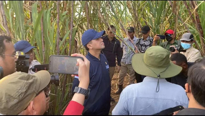 Mentrans dorong skema kerja sama dengan transmigran di Perkebunan Merauke Mentrans dorong skema kerja sama dengan transmigran di Perkebunan Merauke