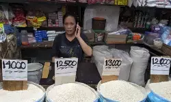 Harga beras medium turun jadi Rp13.657/kg, cabai rawit Rp45.791/kg