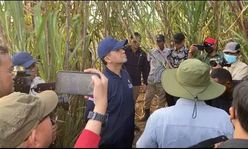 Mentrans dorong skema kerja sama dengan transmigran di Perkebunan Merauke