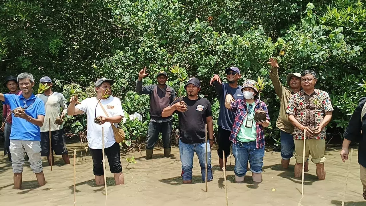 Wisata mangrove di SM Karang Gading, Langkat Timur Laut mulai menggeliat