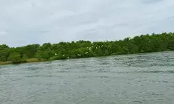 Inilah Pulau Burung SM Karang Gading/Langkat Timur Laut yang belum banyak diketahui