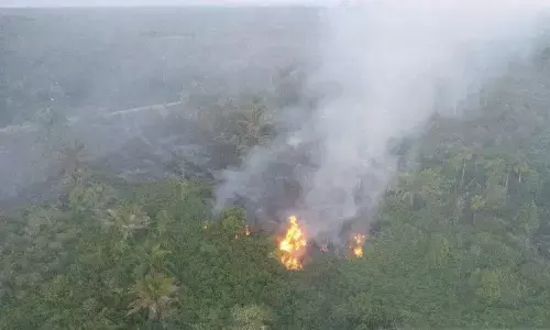 BPBD terus padamkan kebakaran 8,8 hektare lahan di Aceh Barat