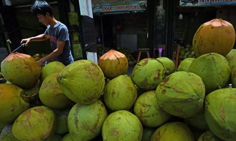 Ini daftar makanan dan minuman yang bisa redakan keracunan