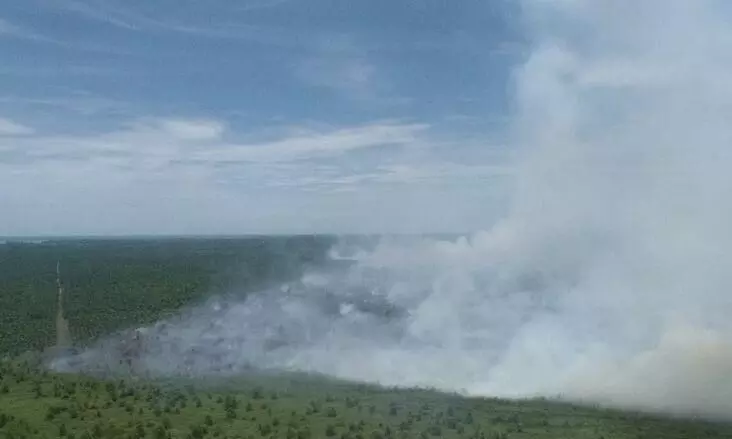 BPBD: Karhutla di Aceh Barat bertambah dan meluas menjadi 19,8 Ha