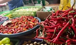 Harga beras medium turun jadi Rp13.150/kg, cabai rawit Rp61.667/kg