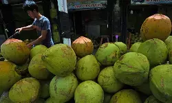 Ini daftar makanan dan minuman yang bisa redakan keracunan Ini daftar makanan dan minuman yang bisa redakan keracunan