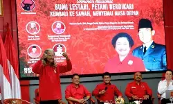 PDIP dorong inovasi pertanian untuk swasembada beras