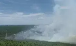 BPBD: Karhutla di Aceh Barat bertambah dan meluas menjadi 19,8 Ha