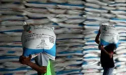 Kebijakan pupuk Indonesia soal keluarga Direksi picu sorotan publik