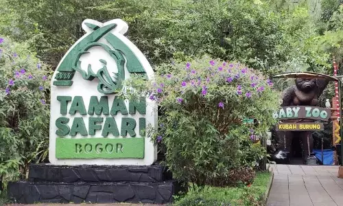 TSI: Penyebar hoaks tentang Bandung Zoo bisa dipidana TSI: Penyebar hoaks tentang Bandung Zoo bisa dipidana