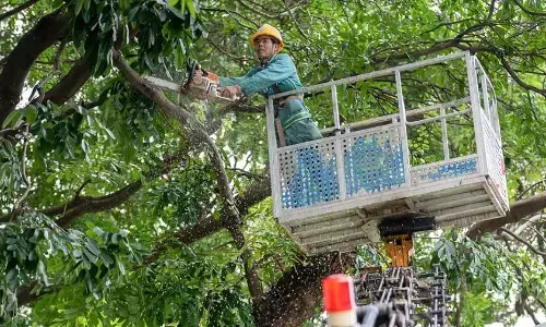 China evakuasi 1 juta penduduk hadapi Topan Ragasa China evakuasi 1 juta penduduk hadapi Topan Ragasa