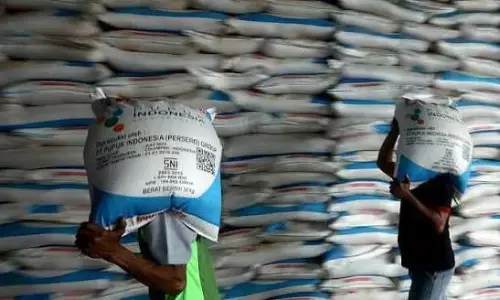 Kebijakan pupuk Indonesia soal keluarga Direksi picu sorotan publik Kebijakan pupuk Indonesia soal keluarga Direksi picu sorotan publik