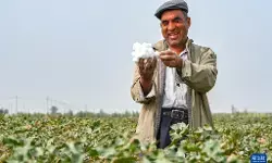 Jajak pendapat CGTN: menciptakan Contoh Xinjiang dari modernisasi ala Tiongkok