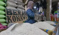 Harga beras medium turun jadi Rp13.731/kg, cabai rawit Rp48.171/kg