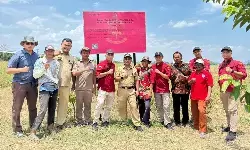 Bermasalah dengan kasus hukum, PBB Sritex terancam tak dibayar Bermasalah dengan kasus hukum, PBB Sritex terancam tak dibayar