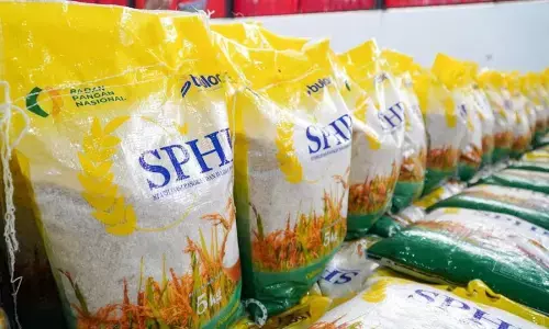 Bulog terapkan kemasan seragam untuk efisiensi distribusi beras SPHP Bulog terapkan kemasan seragam untuk efisiensi distribusi beras SPHP