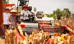 Kapolri: Panen Raya Kuartal III Polri hasilkan 751 ribu ton jagung
