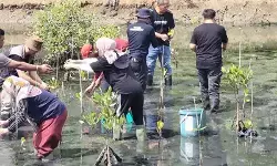 ASPPI tanam mangrove peringati hari pariwisata sedunia