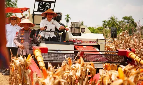 Kapolri: Panen Raya Kuartal III Polri hasilkan 751 ribu ton jagung