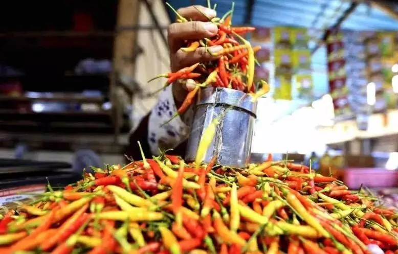 Harga beras medium turun jadi Rp13.709/kg, cabai rawit Rp44.911/kg
