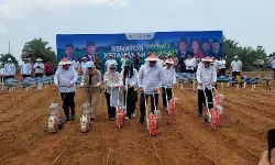 Wagub: Produktivitas jagung Bengkulu lampaui rata-rata nasional