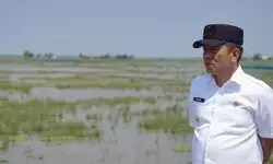 Bupati Karawang ingatkan pembangunan infrastruktur tidak hanya di kota Bupati Karawang ingatkan pembangunan infrastruktur tidak hanya di kota