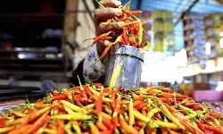 Harga beras medium turun jadi Rp13.709/kg, cabai rawit Rp44.911/kg