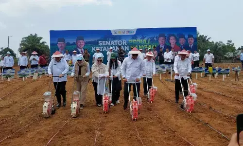 Wagub: Produktivitas jagung Bengkulu lampaui rata-rata nasional