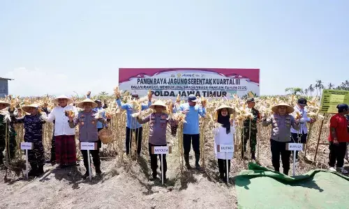 Kapolda Jatim dan Bupati Ipuk panen raya jagung di Banyuwangi