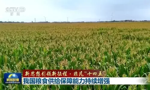 Swasembada Pangan Tiongkok Terus Menguat selama Repelita ke-14