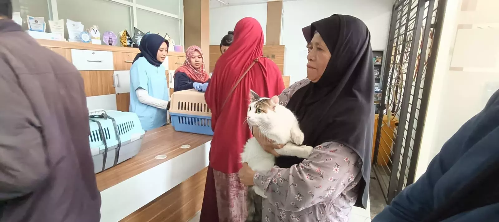 World Rabies Day, ratusan kucing divaksinasi dan jalani kastrasi